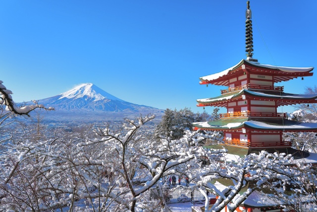 篠山鳳弥の選んだ写真