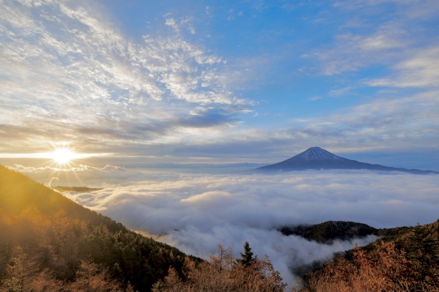 須々木馬辰が選んだ写真
