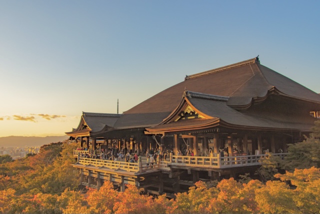 炉利波瑠が選んだ写真