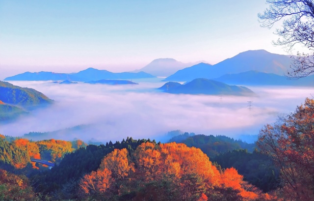 よし之が選んだ写真