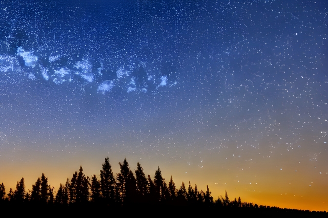 四星だいちが選んだ写真