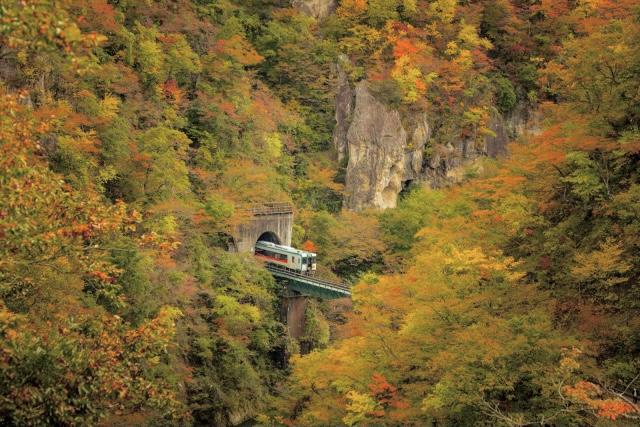 中井笹吉が選んだ写真